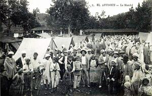 El-Affroun - Le Marche